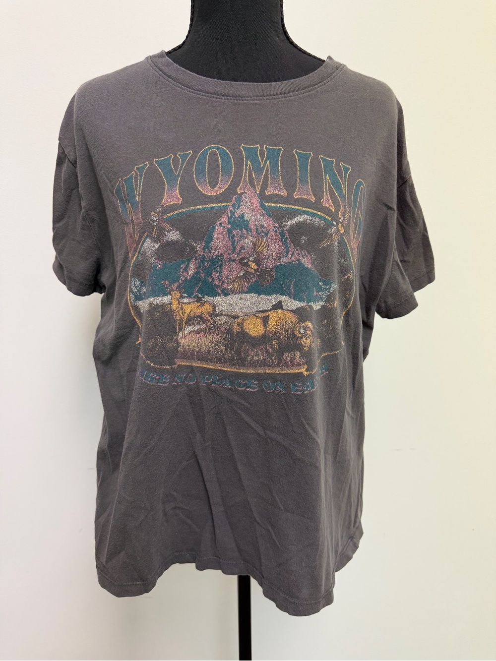Mighty Fine Wyoming Graphic Tee in Charcoal with Multicolor Print